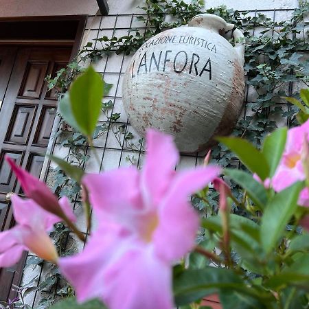 Appartamento L' anfora Locazione Turistica Terni Esterno foto
